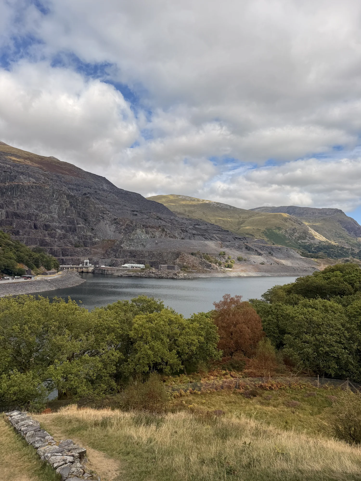 A lake beneath rocky slopes in Eryri, with trees in the foreground.
