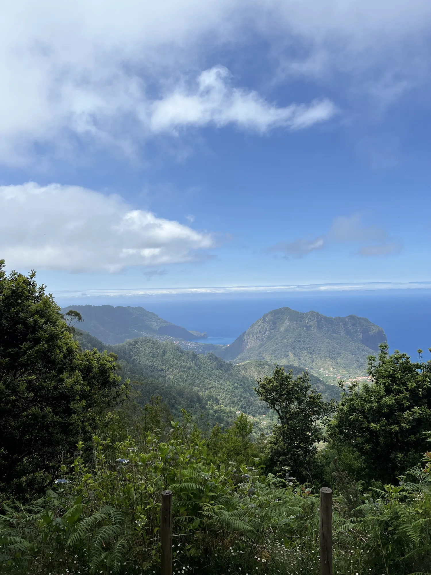 Wooded Madeira valley with a rocky ridge and distant sea