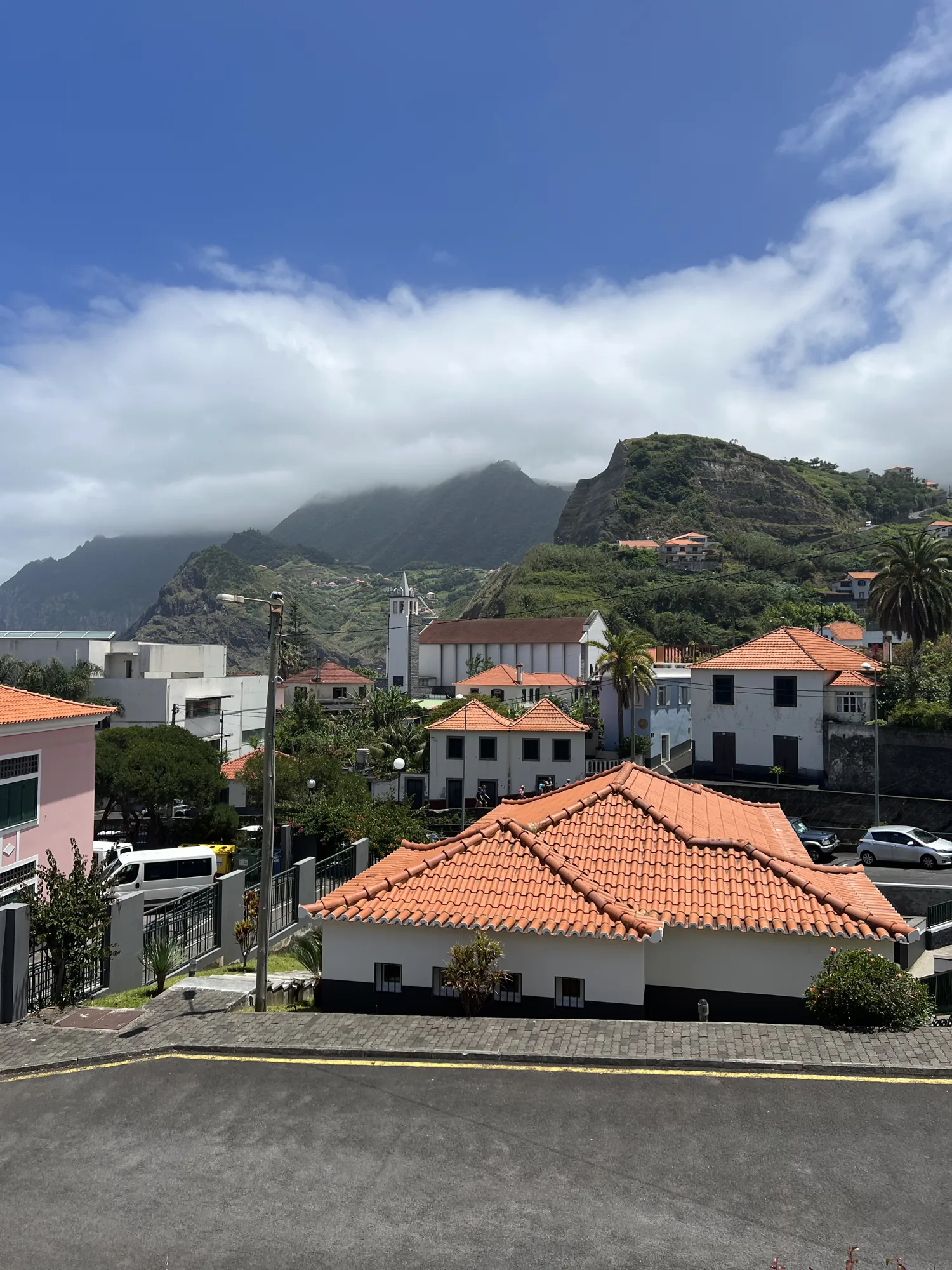 Madeira rooftops with steep wooded mountains behind