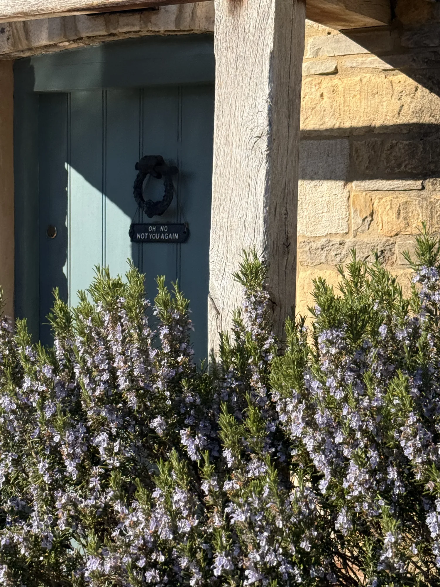 Lavender and stonework around a cottage doorway in the Cotswolds.