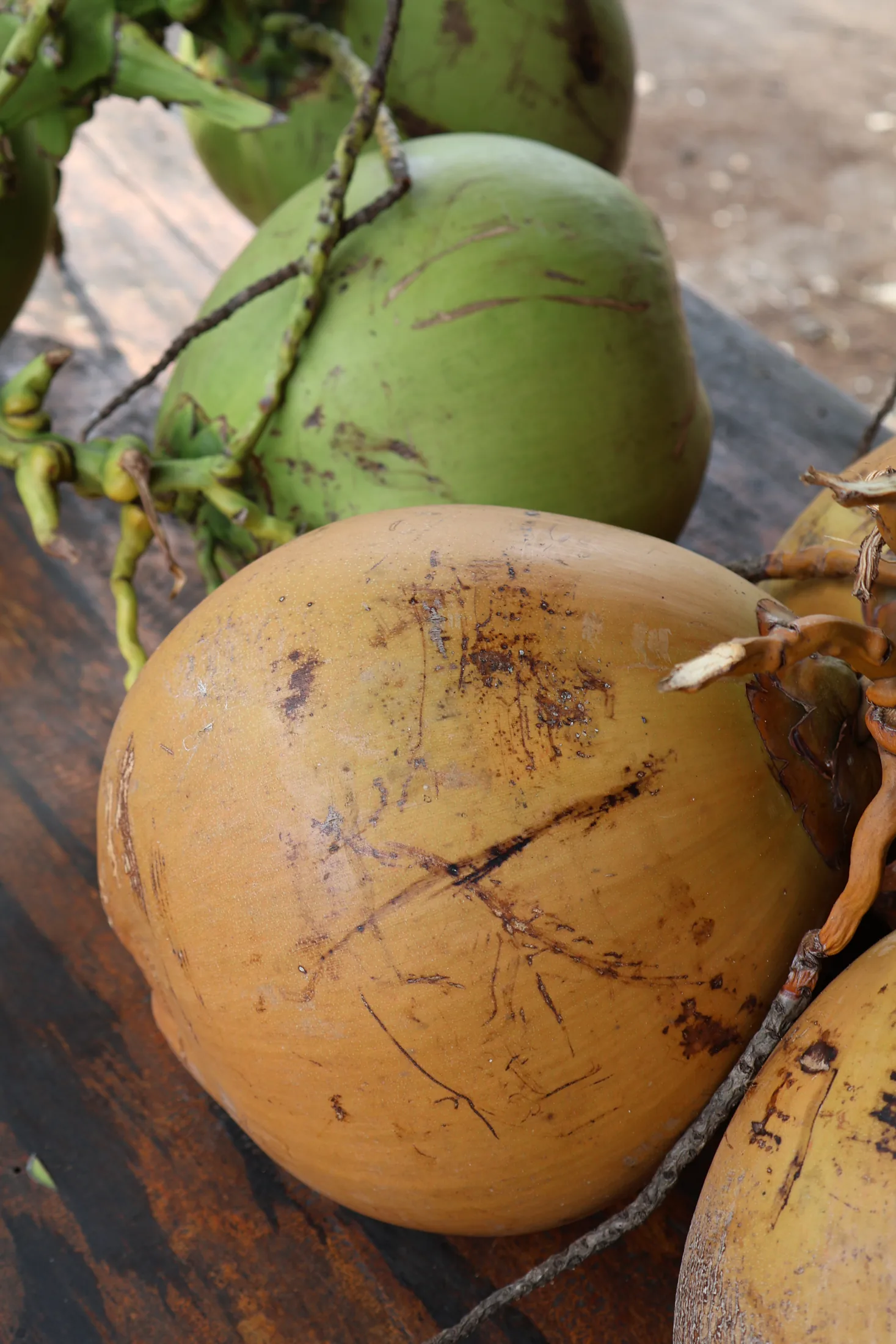 Fresh coconuts in Kat’s Bali travel photographs