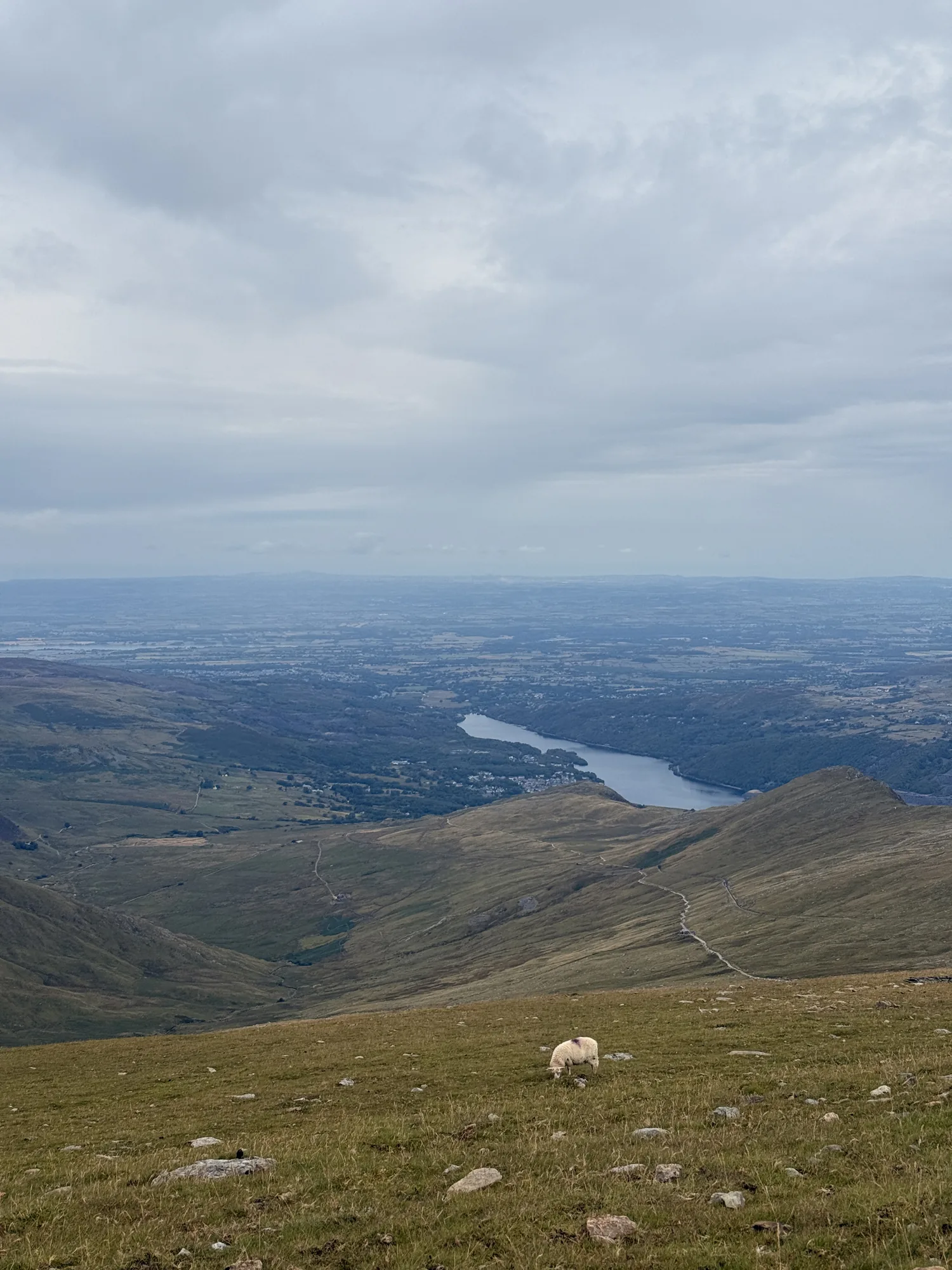 Distant valleys, water and fields seen from the high ground in Eryri.