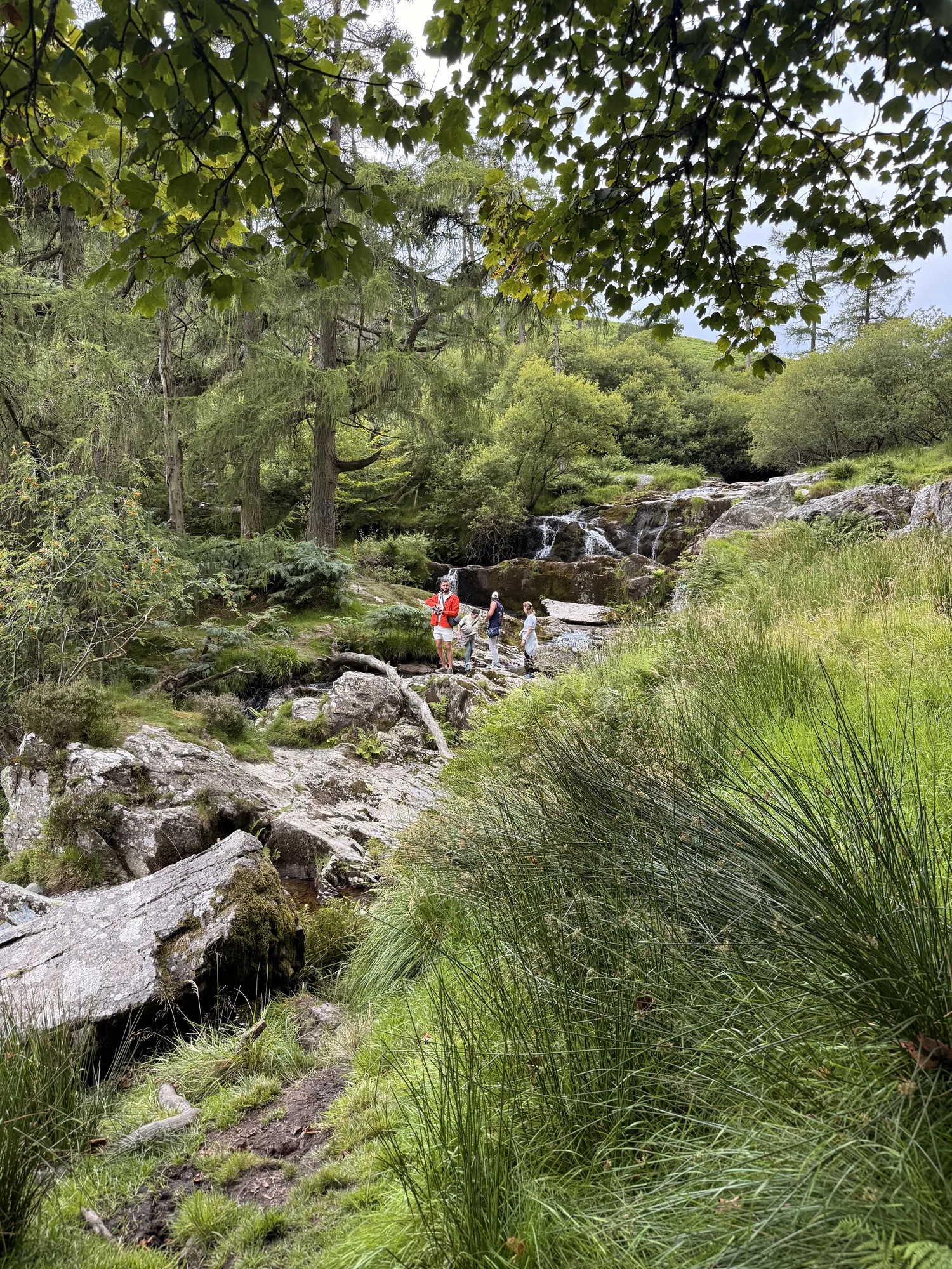 A waterfall feeding a rocky stream bordered by green vegetation in Wales.