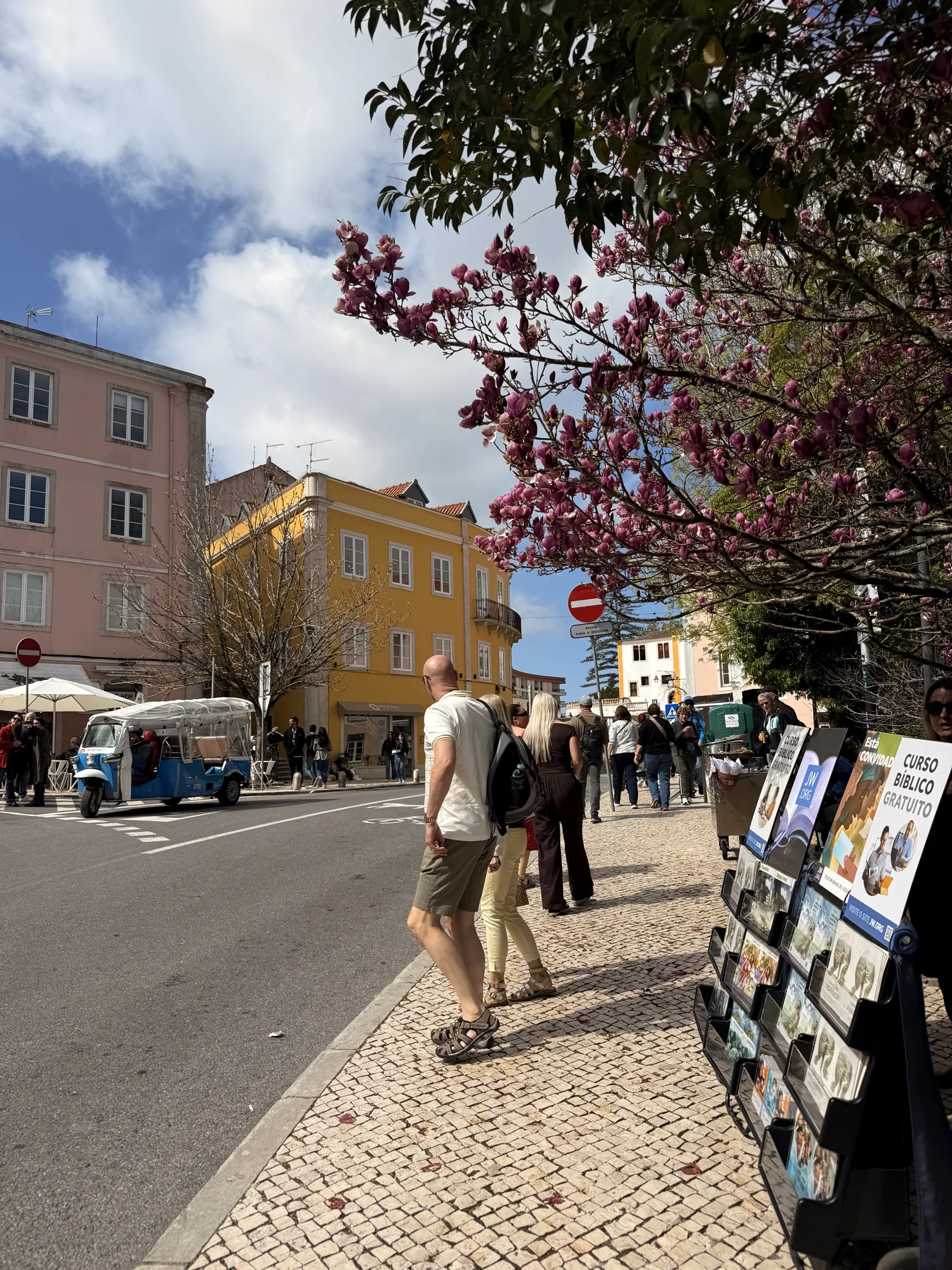 Sintra town street beneath trees and flowering branches