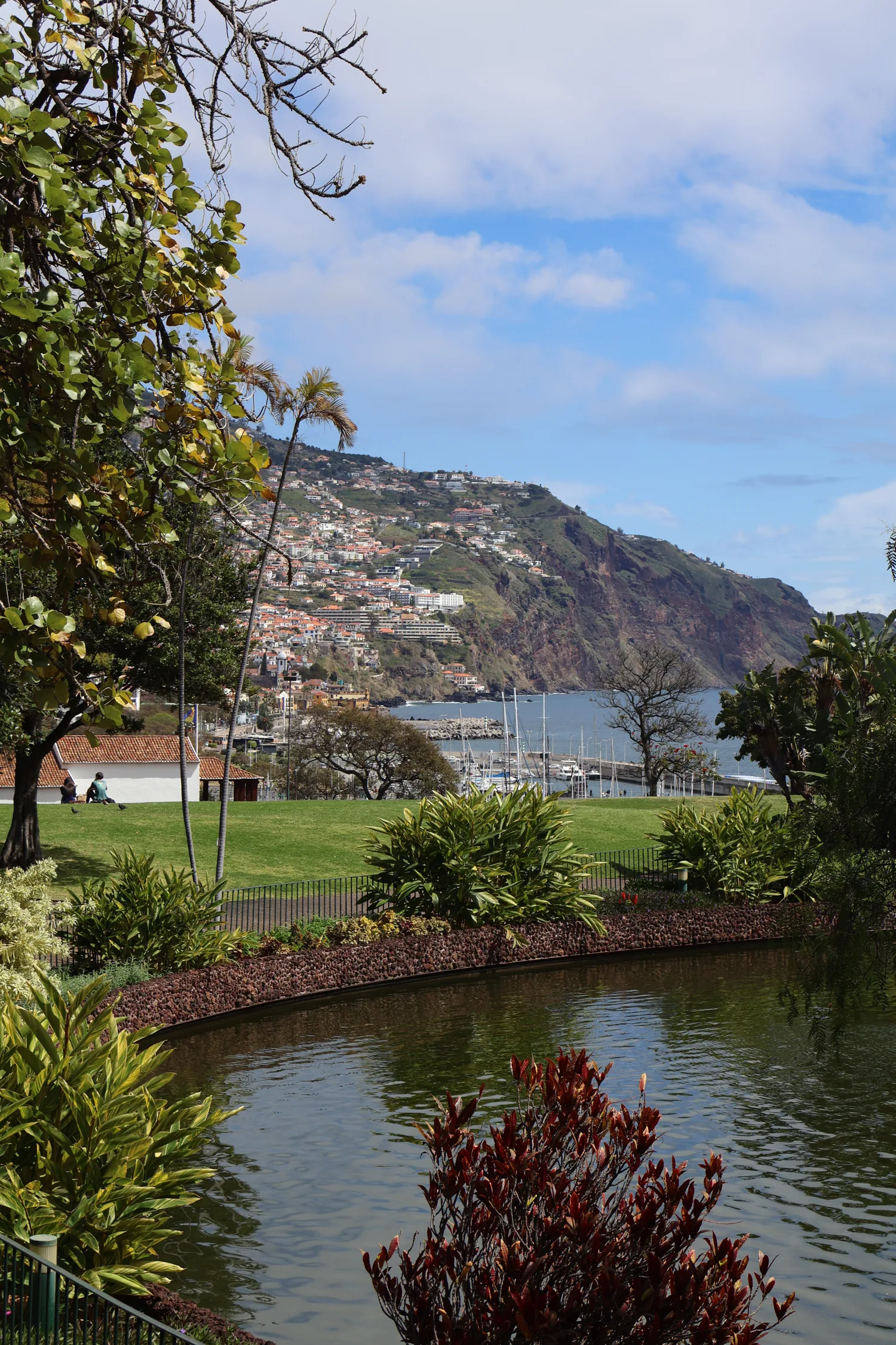 Funchal garden pond and planting with the city beyond