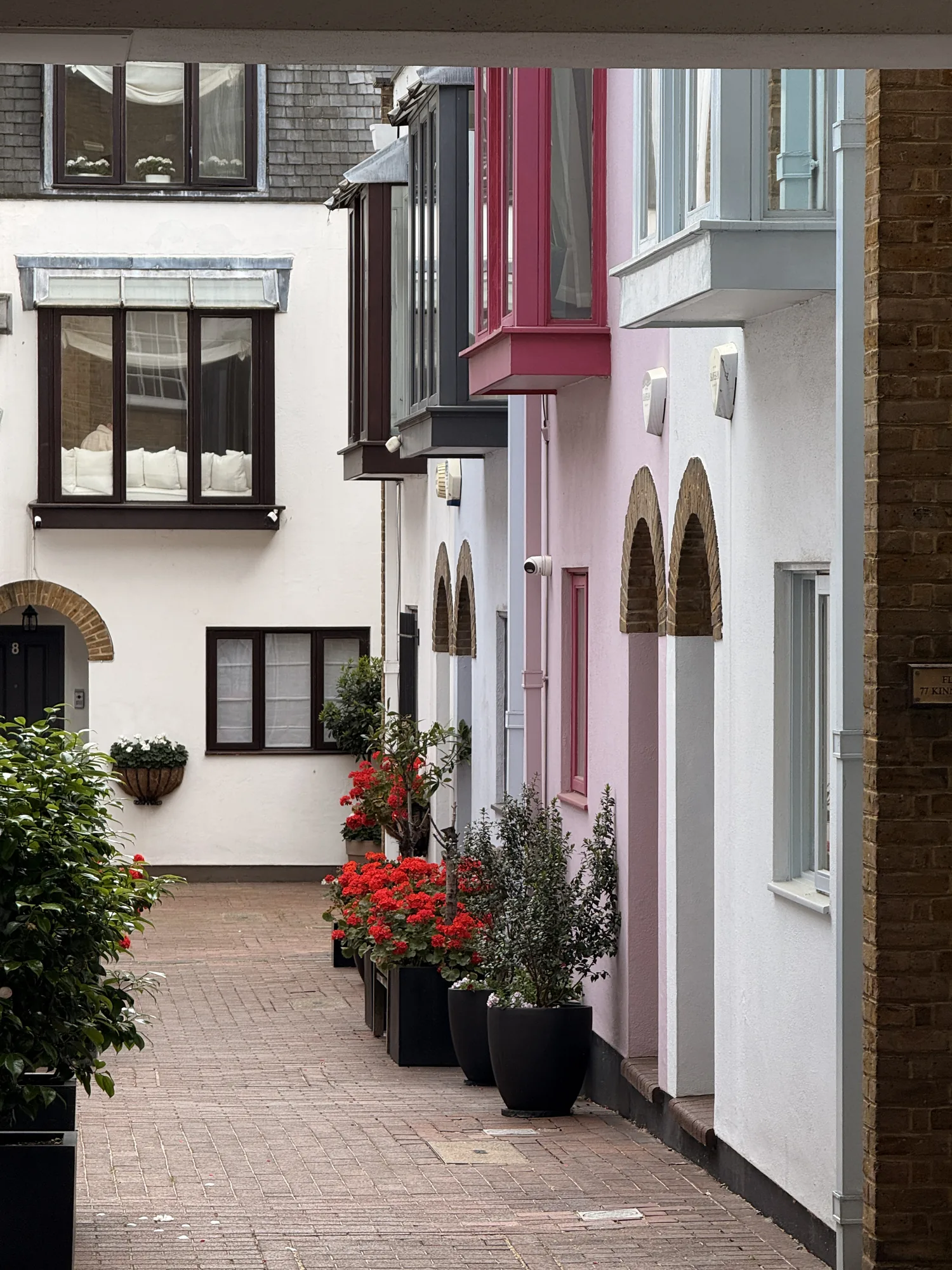 Painted façades, pots and flowers along a London mews.