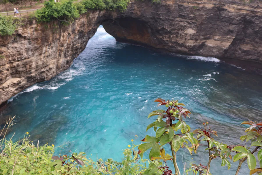 Blue water beneath the natural arch at Broken Beach, framed by leaves and yellow flowers