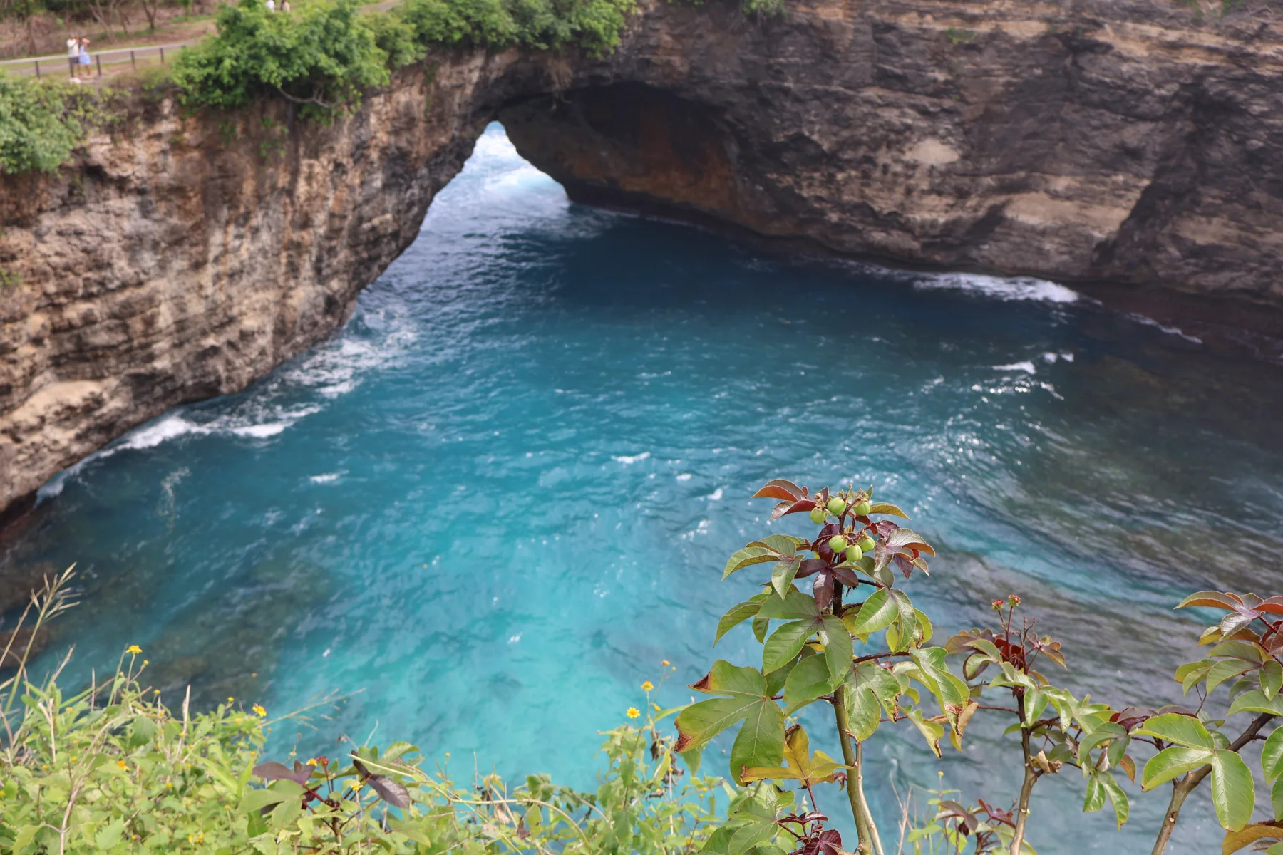 Broken Beach framed by leaves and small yellow flowers