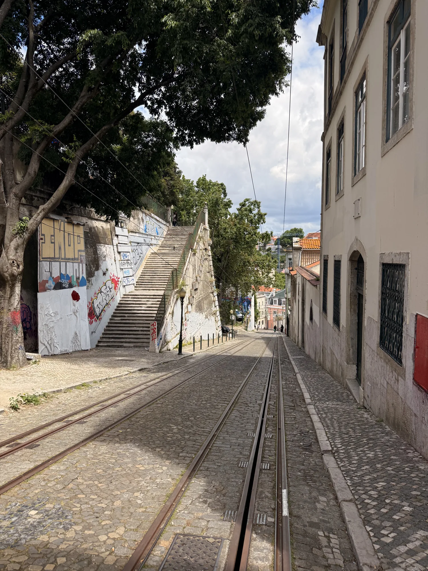Rails descend a steep Lisbon street beneath trees